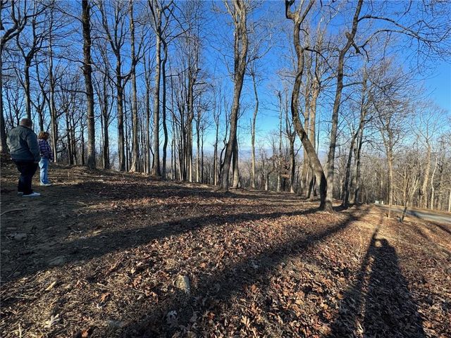 LT 296 Andes Ridge, Ellijay, GA 30536