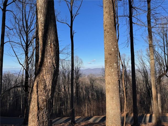 LT 296 Andes Ridge, Ellijay, GA 30536