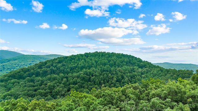 LT 296 Andes Ridge, Ellijay, GA 30536