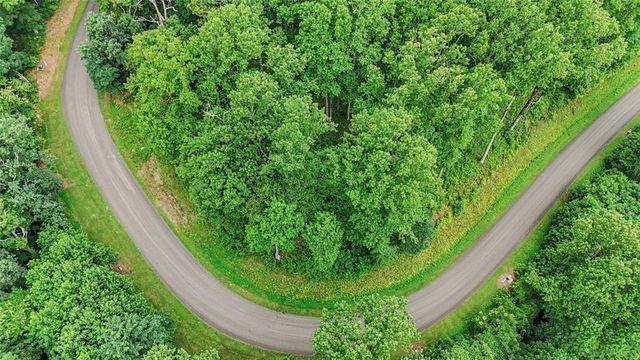 LT 296 Andes Ridge, Ellijay, GA 30536