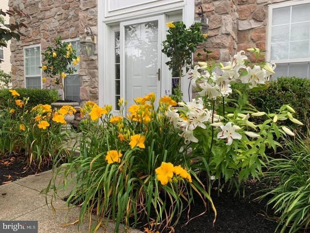 3805 E BRANDON WAY, Doylestown, PA 18902