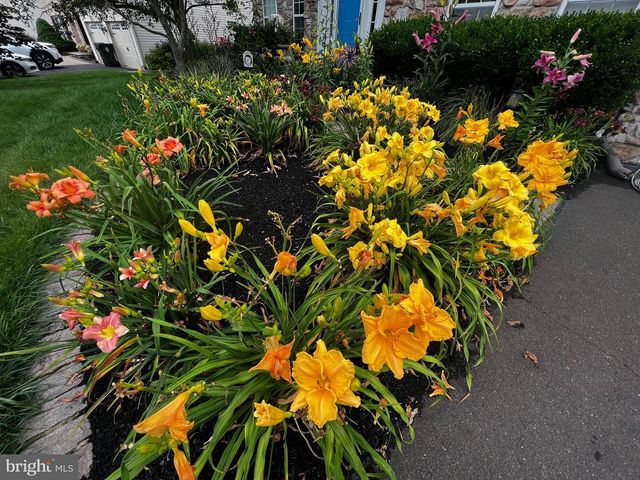3805 E BRANDON WAY, Doylestown, PA 18902