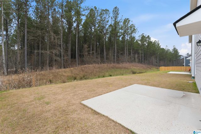 2009 EATON PLACE, Chelsea, AL 35043