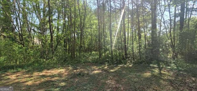208 Fairview Point, Ellenwood, GA 30294