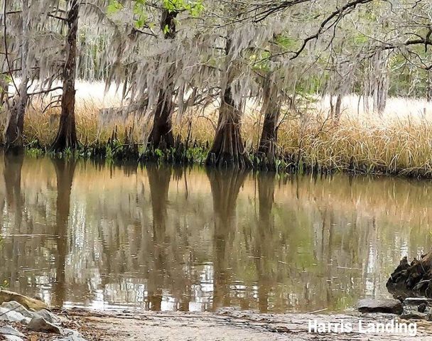 659 Harris Landing Rd., Georgetown, SC 29440