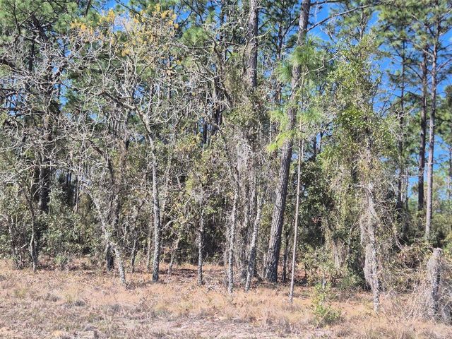 00 NE 137TH AVENUE, Williston, FL 32696