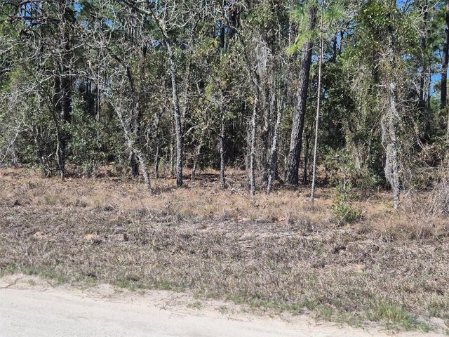 00 NE 137TH AVENUE, Williston, FL 32696