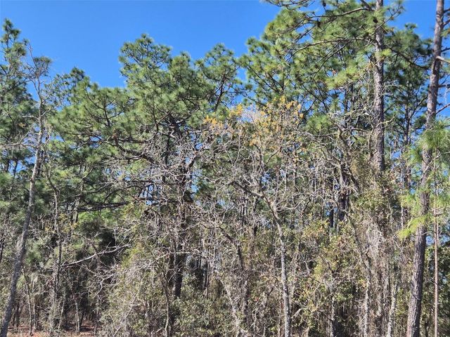 00 NE 137TH AVENUE, Williston, FL 32696