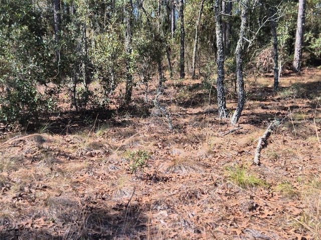 00 NE 137TH AVENUE, Williston, FL 32696