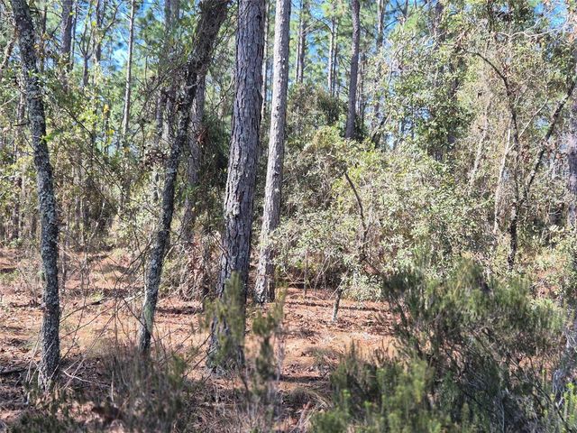 00 NE 137TH AVENUE, Williston, FL 32696