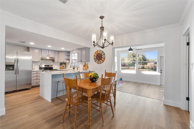 507 BATES AVENUE, Eustis, FL 32726