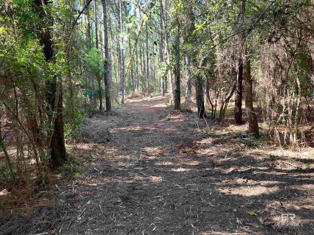 0 Barnhill Farm Road, Loxley, AL 36551