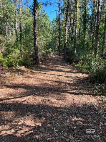 0 Barnhill Farm Road, Loxley, AL 36551