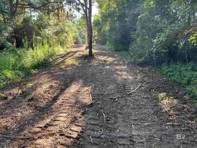 0 Barnhill Farm Road, Loxley, AL 36551
