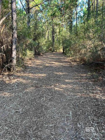 0 Barnhill Farm Road, Loxley, AL 36551
