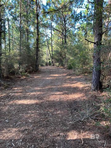 0 Barnhill Farm Road, Loxley, AL 36551