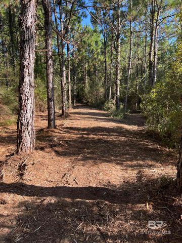 0 Barnhill Farm Road, Loxley, AL 36551