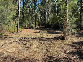 0 Barnhill Farm Road, Loxley, AL 36551