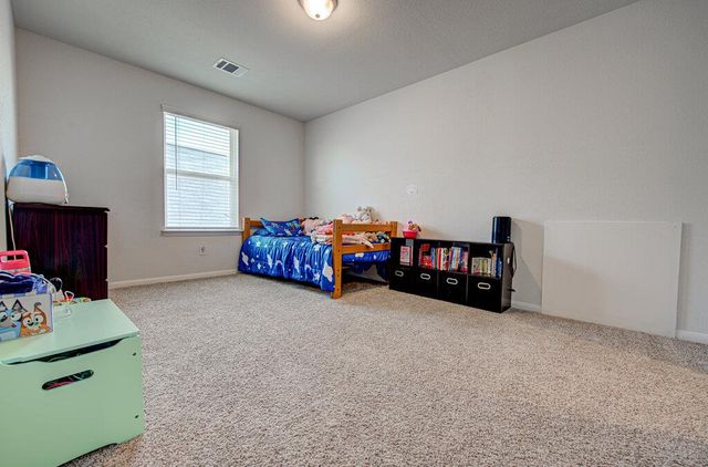 331 Oleander LOOP, Buda, TX 78610