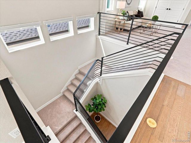 1724 Barefoot Drive, Windsor, CO 80550