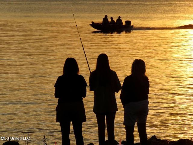 611 Osprey Cove, Brandon, MS 39047