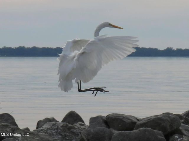 611 Osprey Cove, Brandon, MS 39047