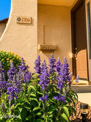 2706 E Longhorn Place, Chandler, AZ 85286