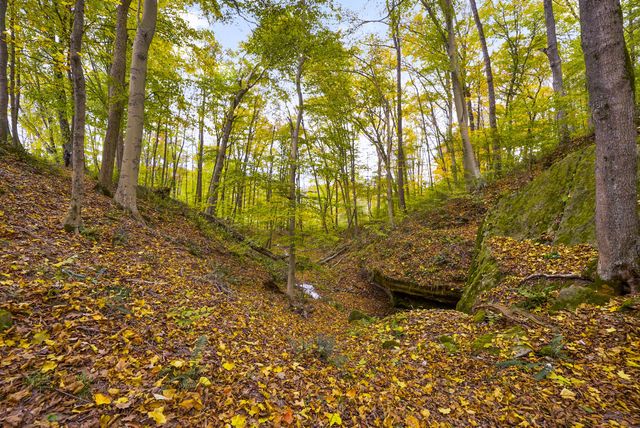 28132 Dupler, Rockbridge, OH 43149