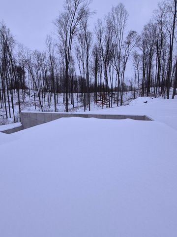 16314 Mitchell Creek Trail, Big Rapids, MI 49307