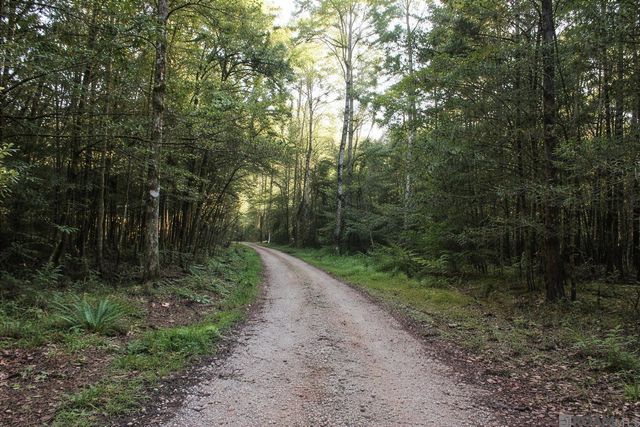 19425 Grantham Rd, Livingston, LA 70754