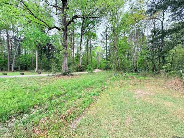 19425 Grantham Rd, Livingston, LA 70754
