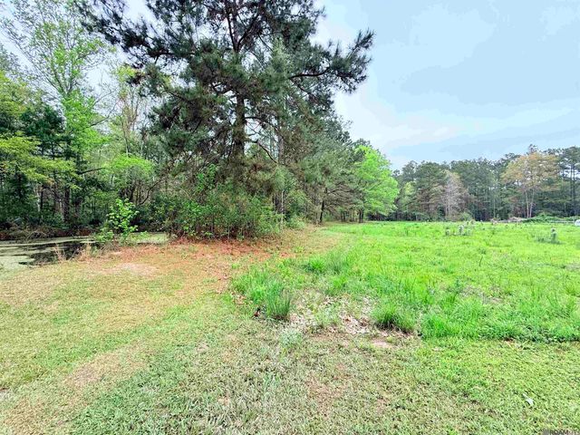 19425 Grantham Rd, Livingston, LA 70754