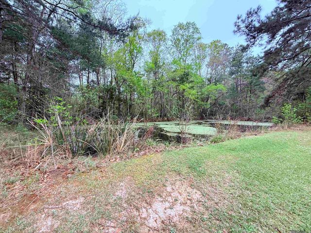 19425 Grantham Rd, Livingston, LA 70754