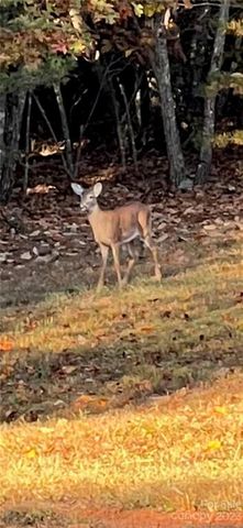0 Taylorsville Road Tract 6, Taylorsville, NC 28681
