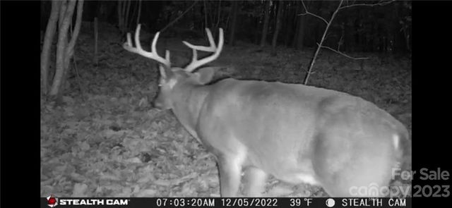 0 Taylorsville Road Tract 6, Taylorsville, NC 28681