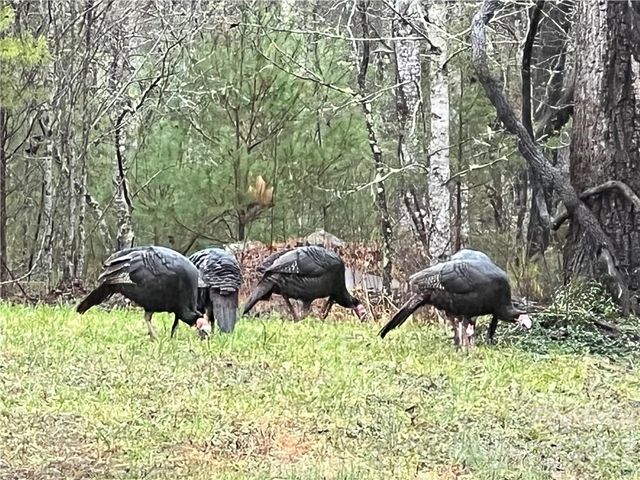 0 Taylorsville Road Tract 6, Taylorsville, NC 28681