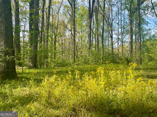 12005-A Hutcheson Ferry Road, Chattahoochee Hills, GA 30268
