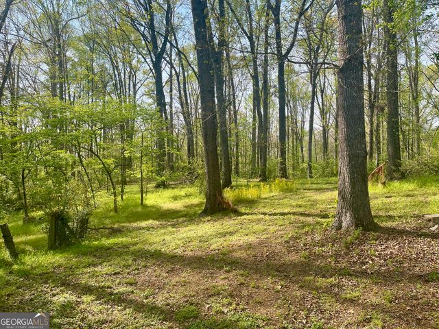 12005-A Hutcheson Ferry Road, Chattahoochee Hills, GA 30268