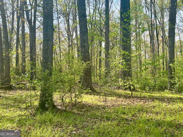 12005-A Hutcheson Ferry Road, Chattahoochee Hills, GA 30268