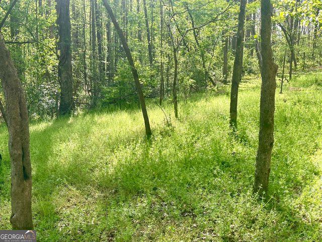 12005-A Hutcheson Ferry Road, Chattahoochee Hills, GA 30268