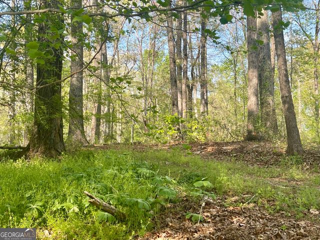 12005-A Hutcheson Ferry Road, Chattahoochee Hills, GA 30268
