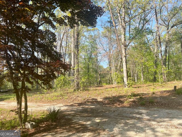 12005-A Hutcheson Ferry Road, Chattahoochee Hills, GA 30268