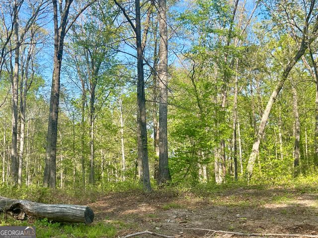 12005-A Hutcheson Ferry Road, Chattahoochee Hills, GA 30268
