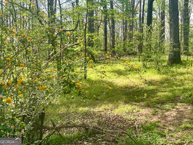 12005-A Hutcheson Ferry Road, Chattahoochee Hills, GA 30268