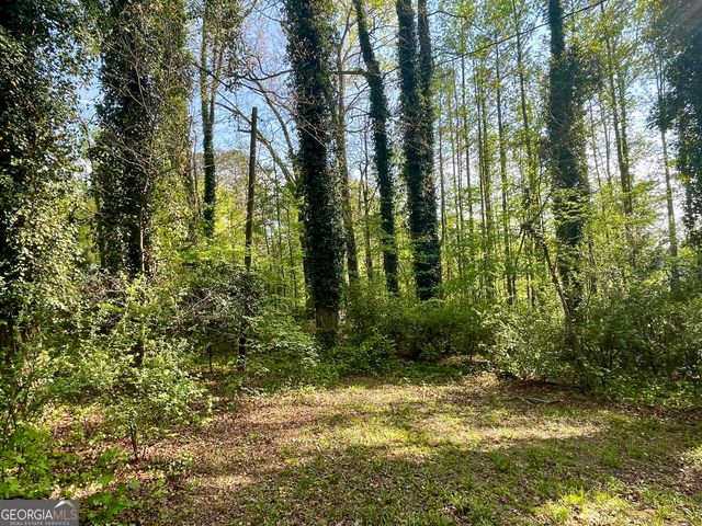 12005-A Hutcheson Ferry Road, Chattahoochee Hills, GA 30268
