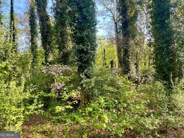 12005-A Hutcheson Ferry Road, Chattahoochee Hills, GA 30268