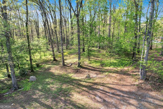 12005-A Hutcheson Ferry Road, Chattahoochee Hills, GA 30268