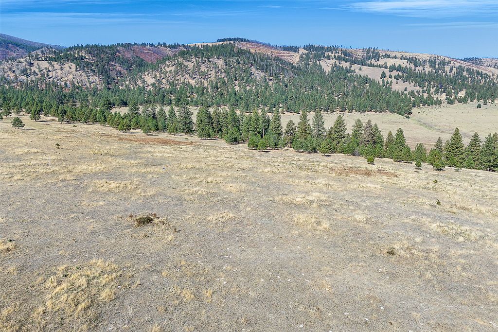 000 Round Top Bluff, Florence, MT 59833 photo 5