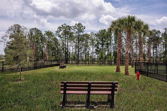 14731 FIELD DAISY DRIVE, Winter Garden, FL 34787