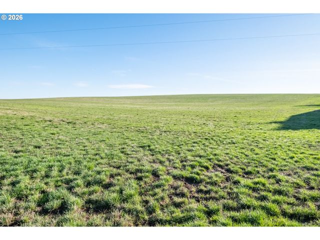 39986 GISLER Rd, Scio, OR 97374